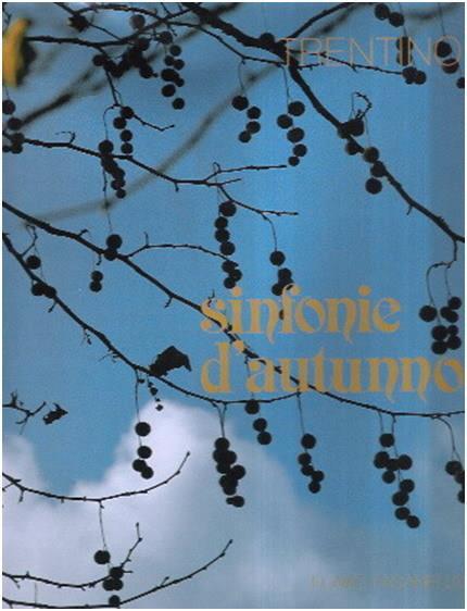 Trentino Sinfonie D'Autunno - Flavio Faganello - copertina