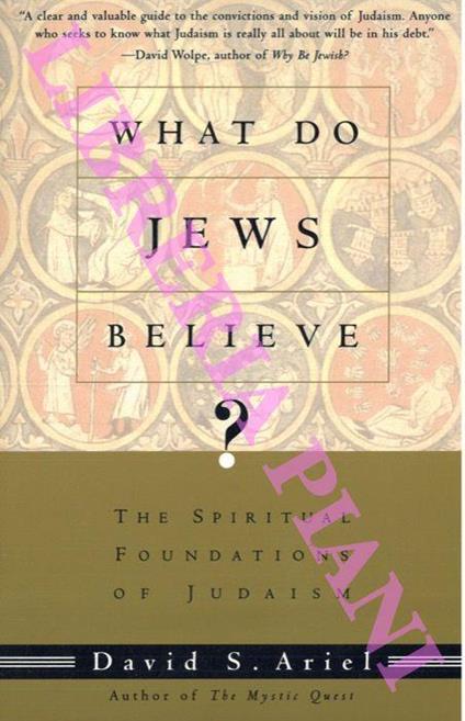 What Do Jews Believe? The Spiritual Foundations of Judaism - copertina
