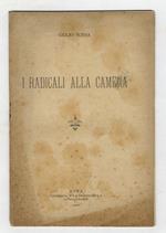 I radicali alla Camera