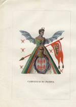 CARRARESI Pappafava di Padova