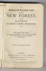 Pictorial (A) and Descriptive Guide to the New Forest, with Southampton, Salisbury, Romsey, Winchester, etc. Sixty Illustrations