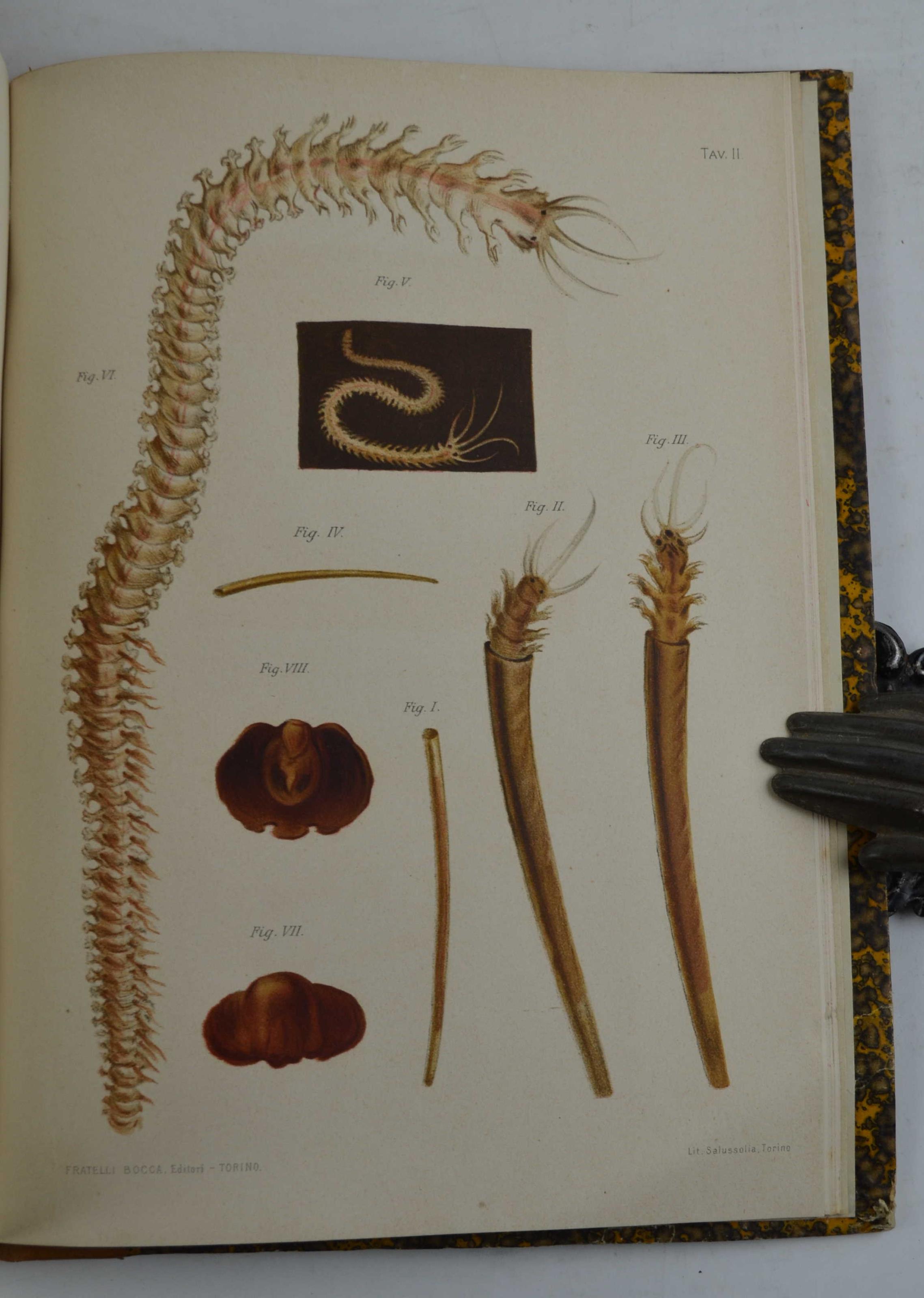 Studio bibliografico Benacense