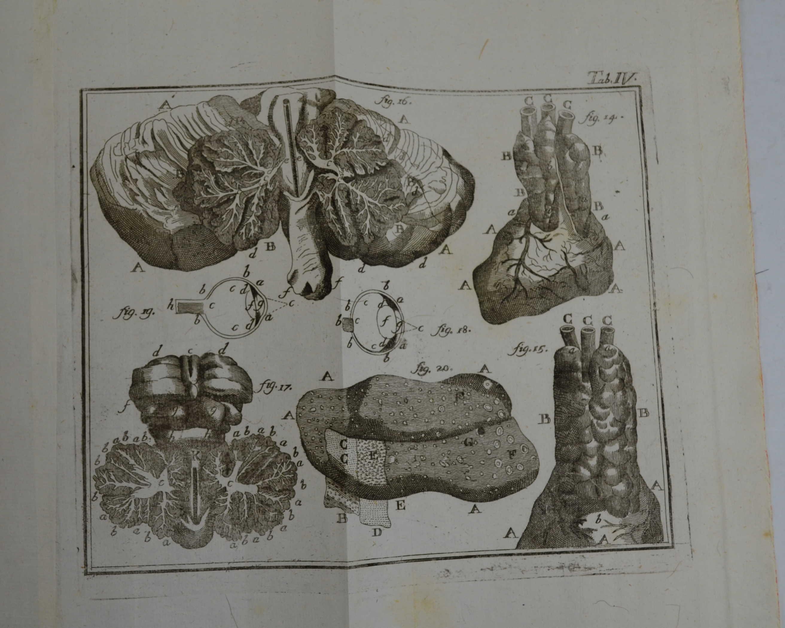 Studio bibliografico Benacense