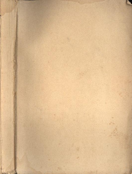 L' annegato del fiume azzurro - copertina