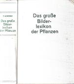 Das Grosse bilderlexikon der pflanzen