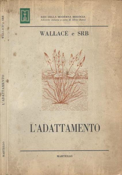 L' adattamento - Lewis Wallace - copertina