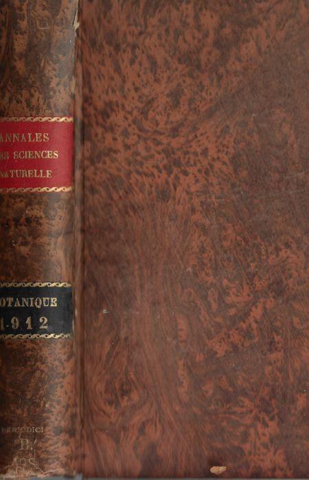 Biblioteca di Babele