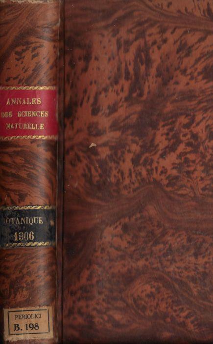 Biblioteca di Babele