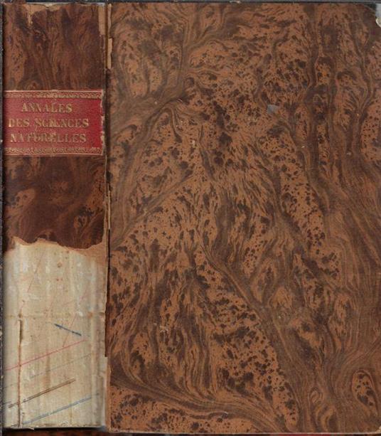 Annales des sciences naturelles botanique VI série tome XV-XVI 1883 - copertina