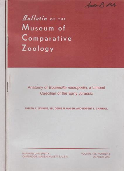Bulletin of The Museum of Comparative Zoology - Angelico da Civitavecchia - copertina