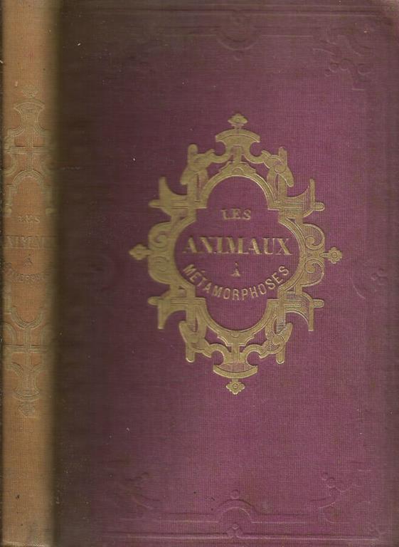 Biblioteca di Babele