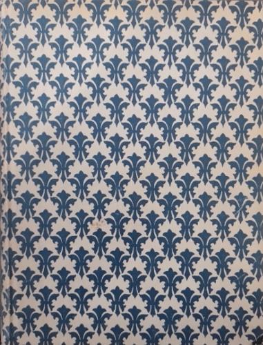 nave pirata - copertina