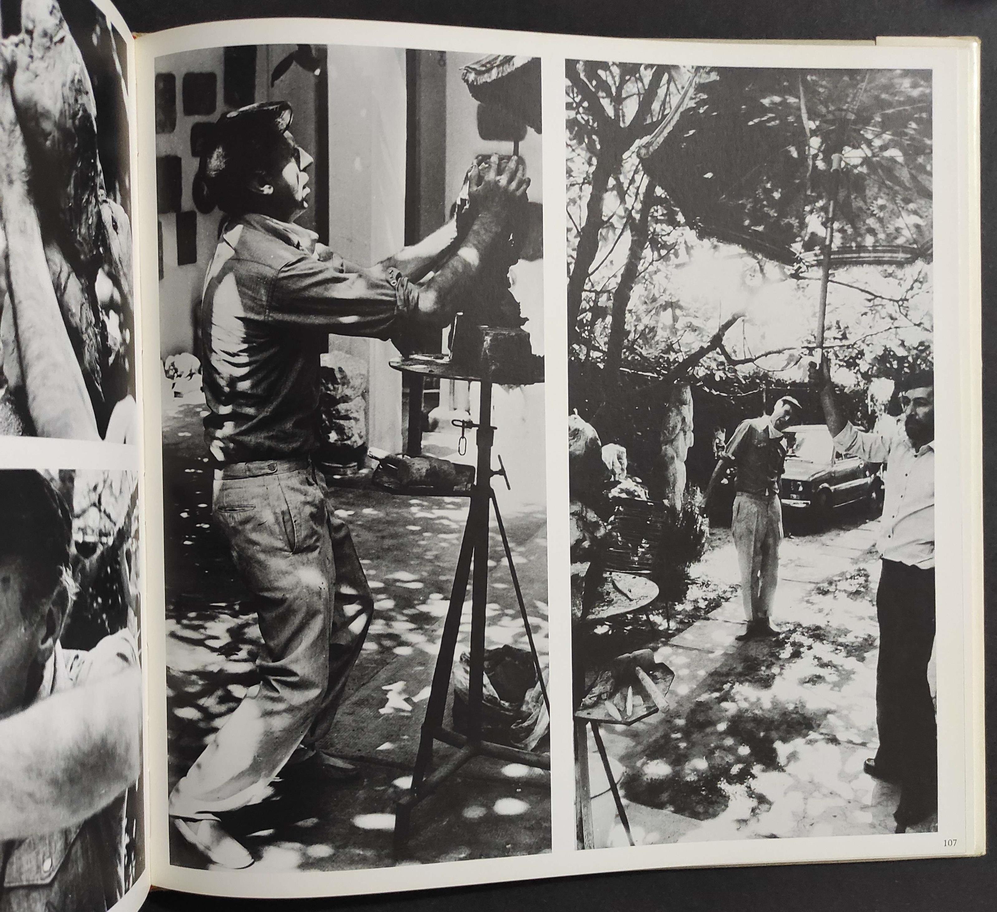 Ernesto Treccani per Immagini