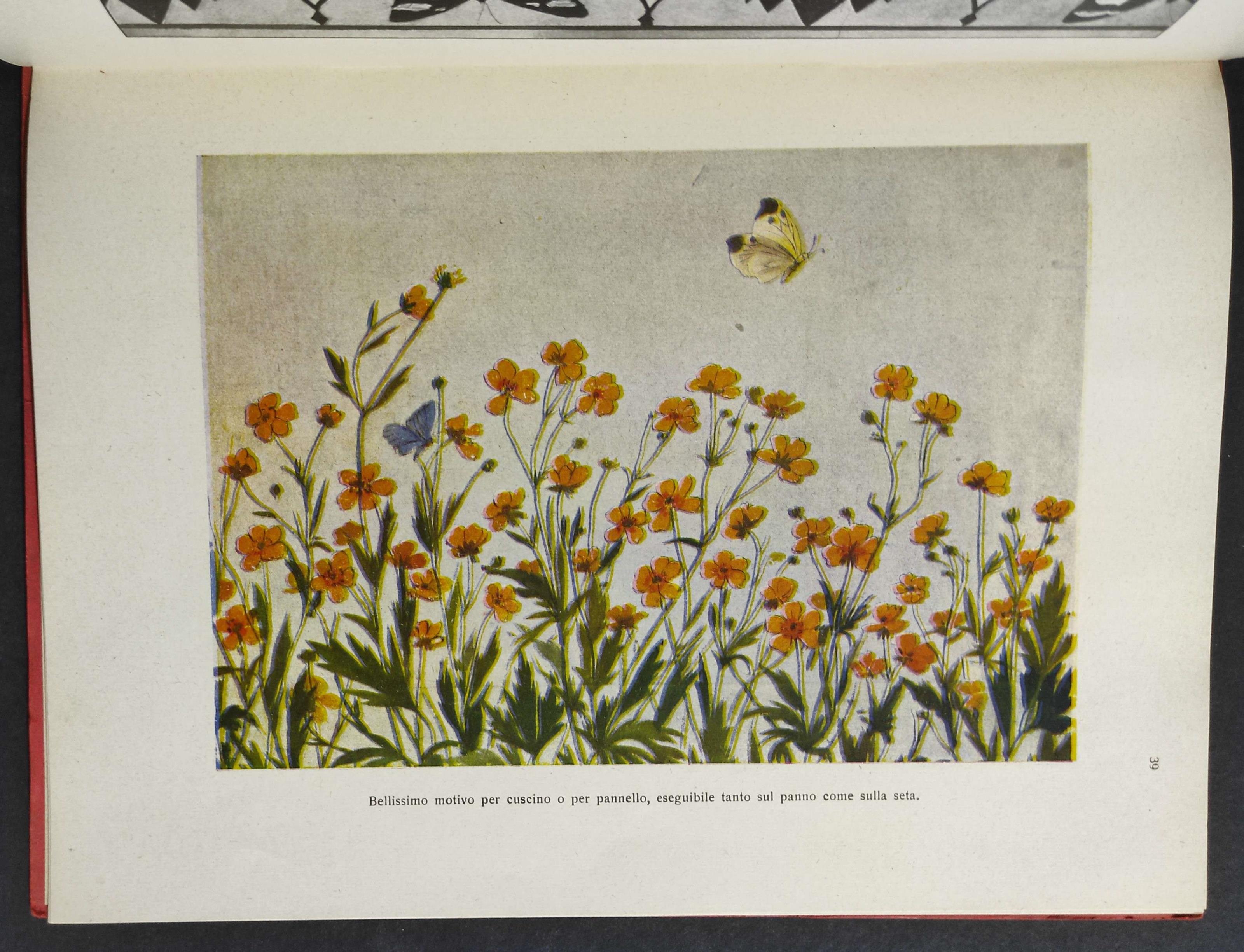 Motivi Floreali dal Vero