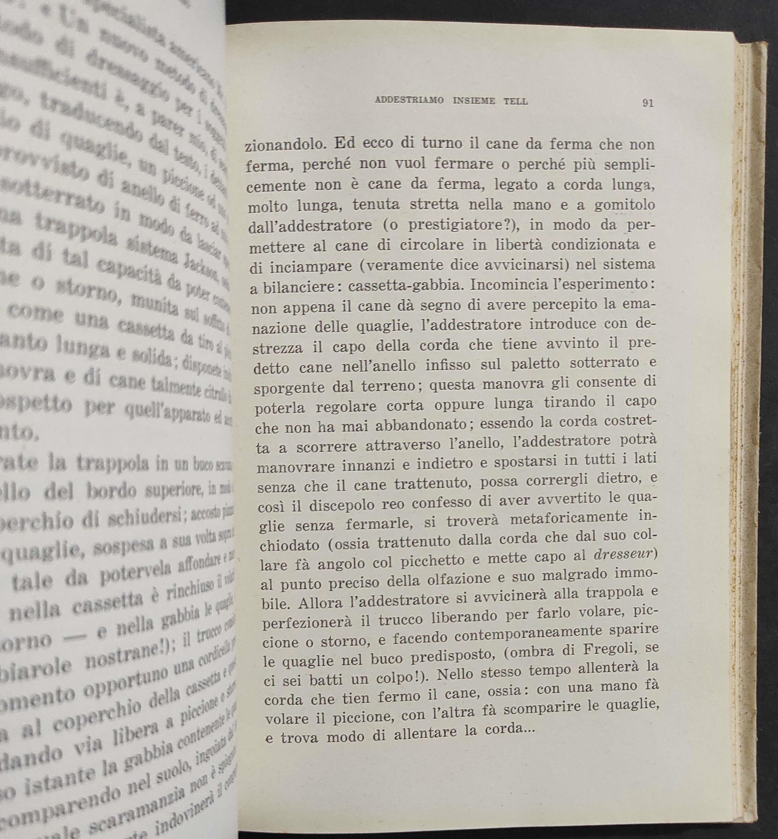 Addestriamo Insieme Tell