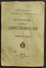 Istruzioni Prevenire Sviluppo e Diffusione Colera nel Regno