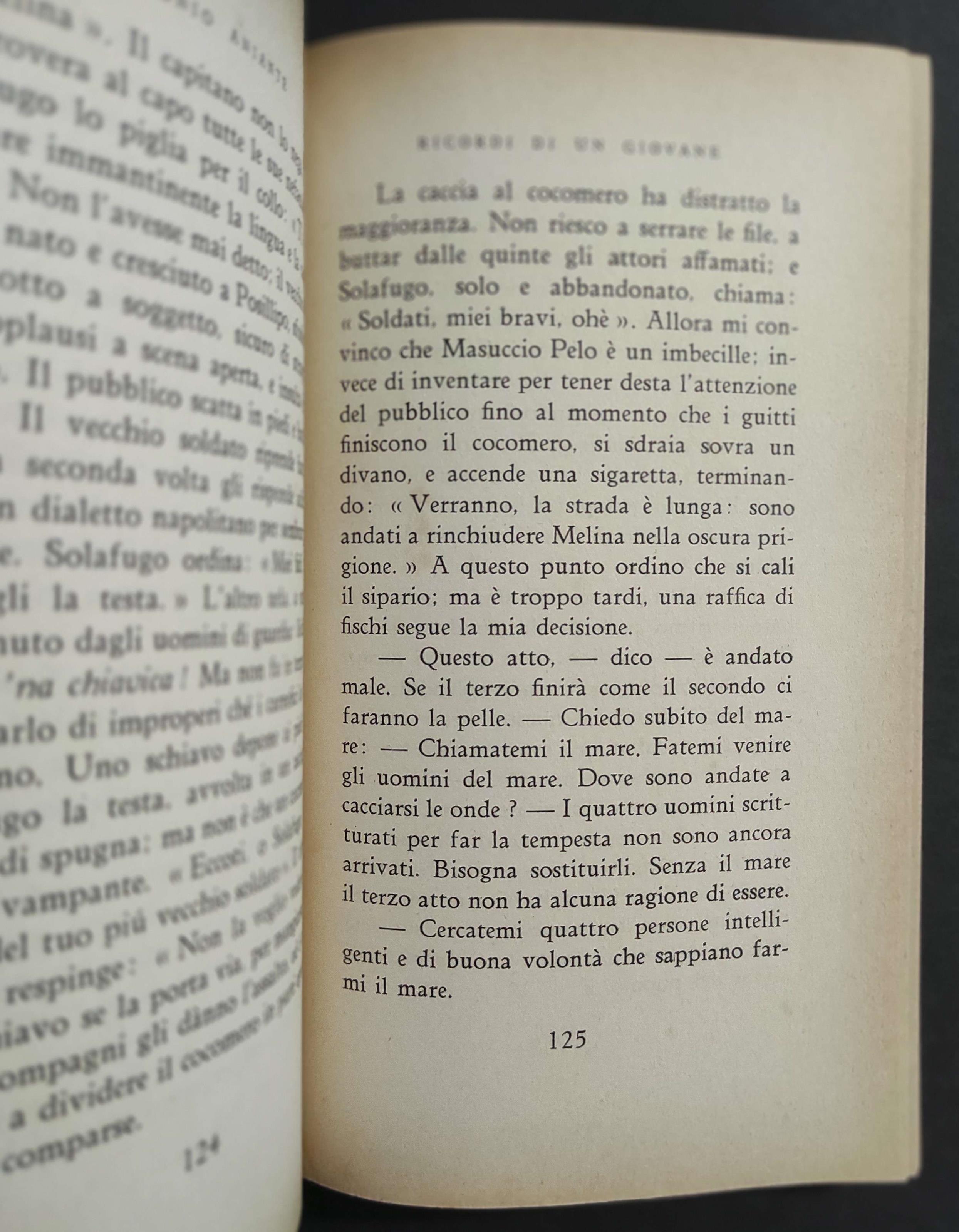 Ricordi di un Giovane Troppo Presto Invecchiatosi