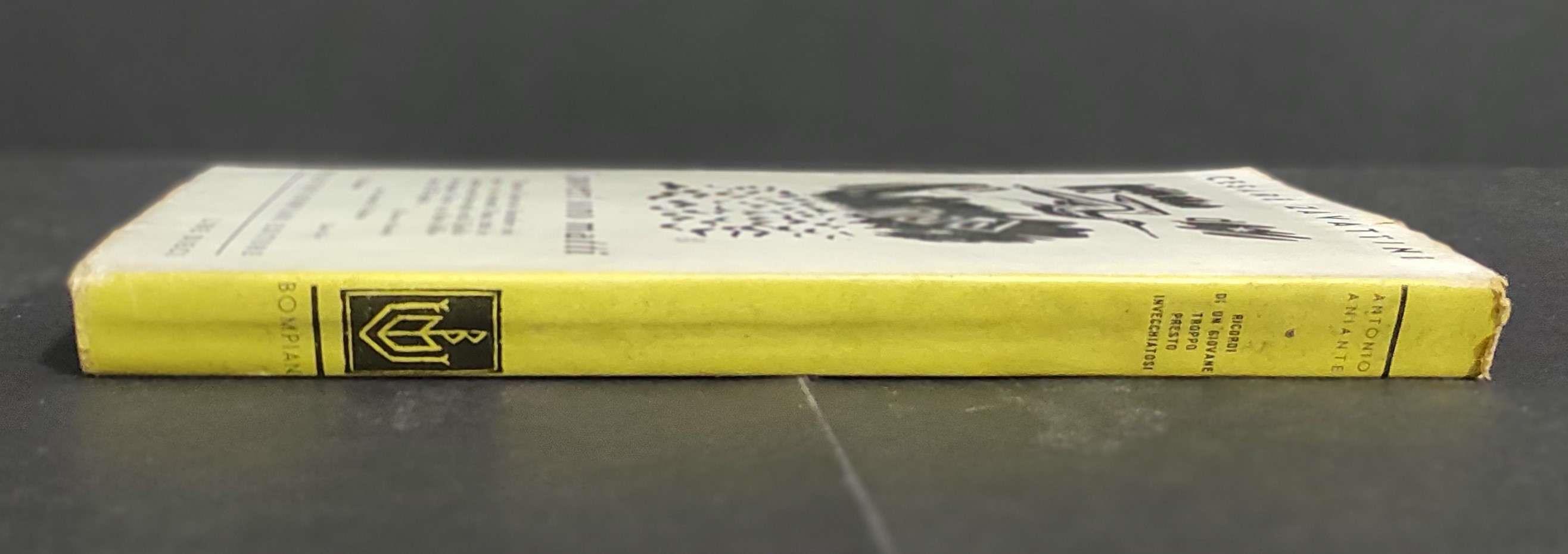 Ricordi di un Giovane Troppo Presto Invecchiatosi