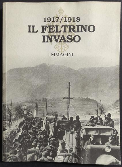 Il Feltrino Invaso II - copertina