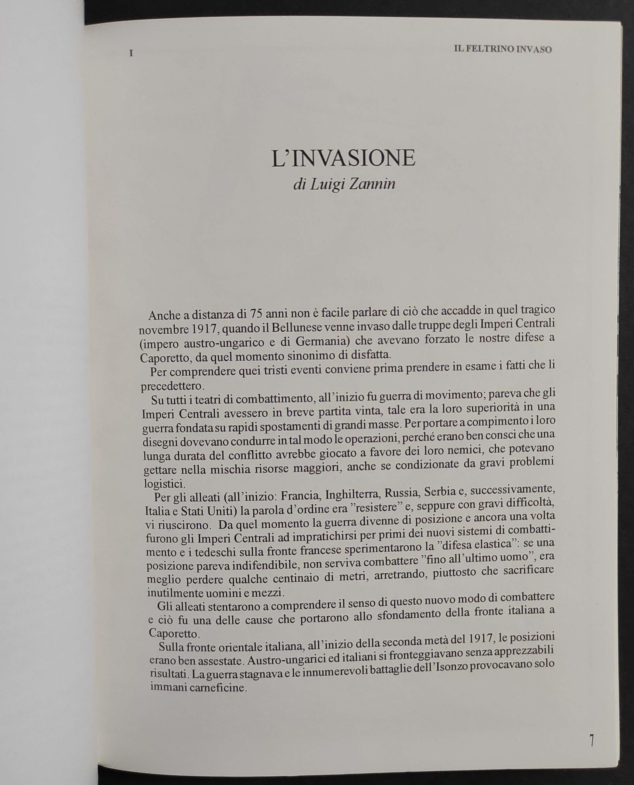 Il Feltrino Invaso II