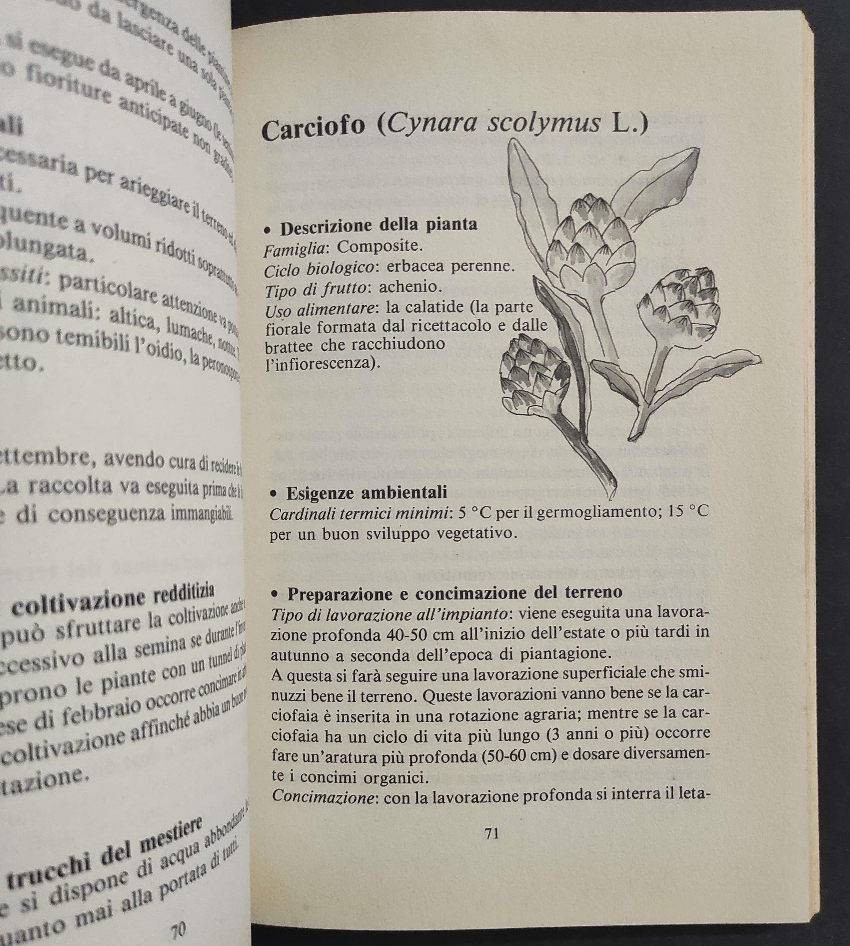 58 Segreti per Ottenere Risultati Eccezionali dal Vostro Orto