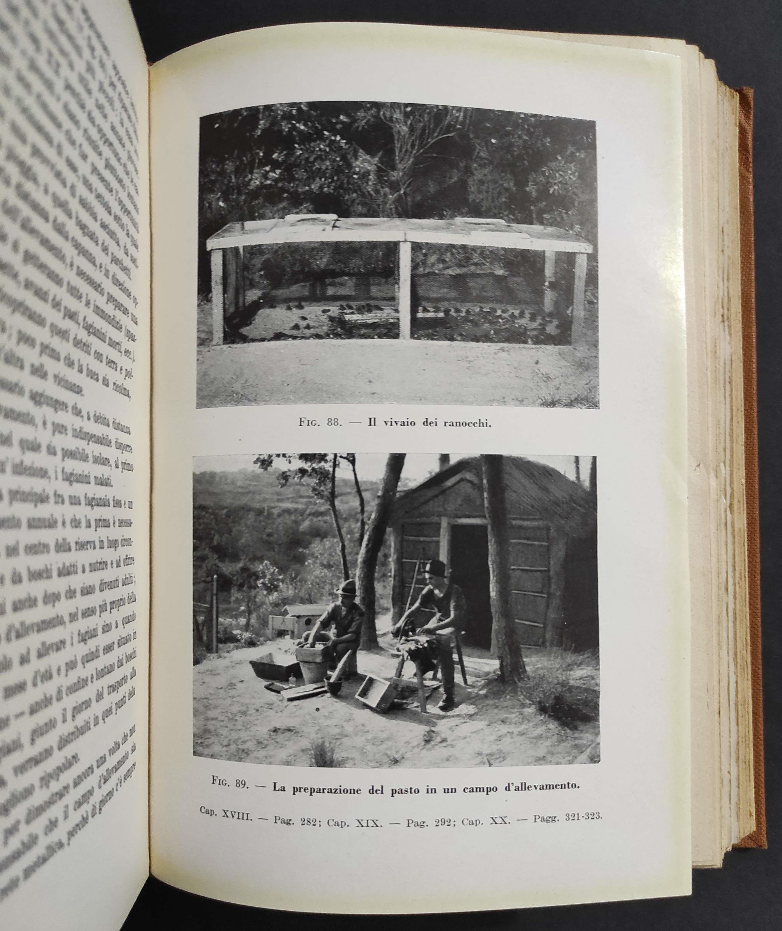 Starne Fagiani e Lepri l'allevamento