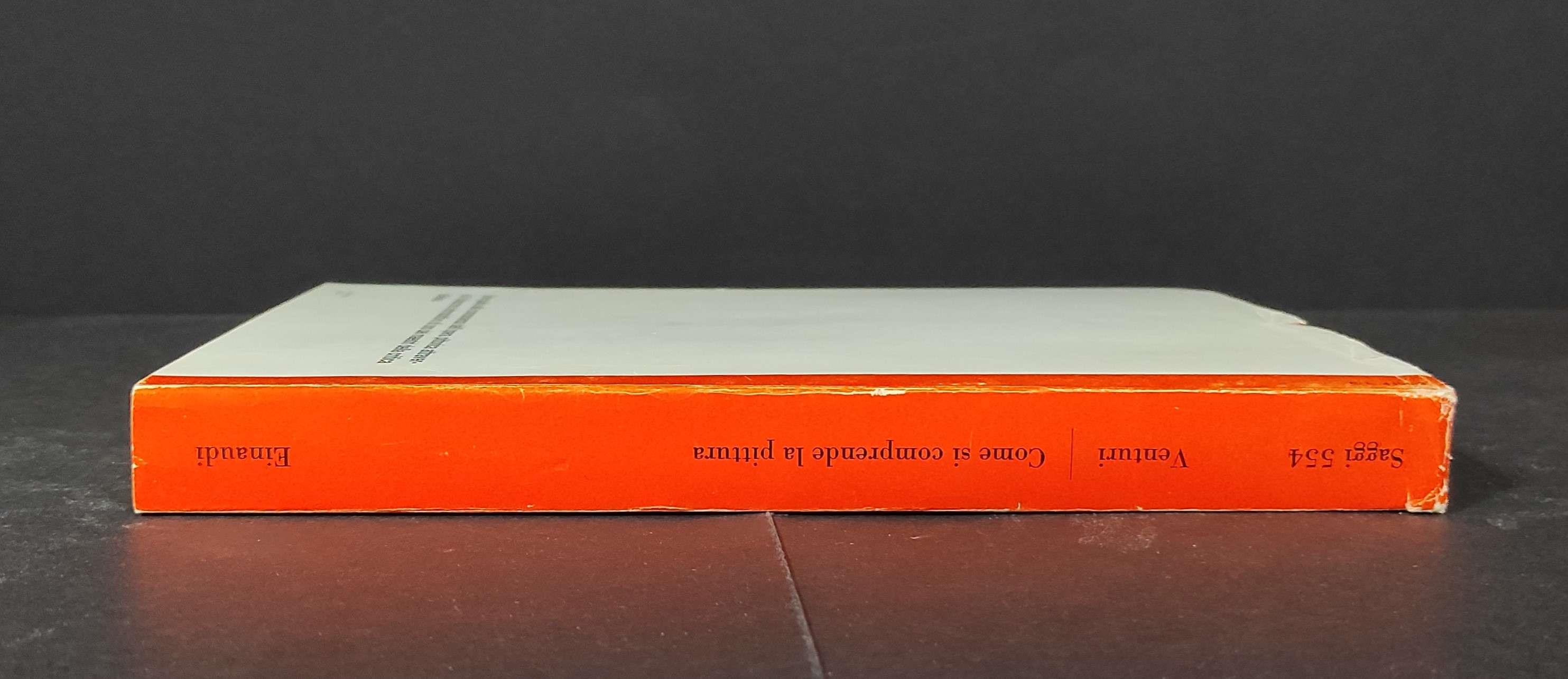 Come si Comprende la Pittura