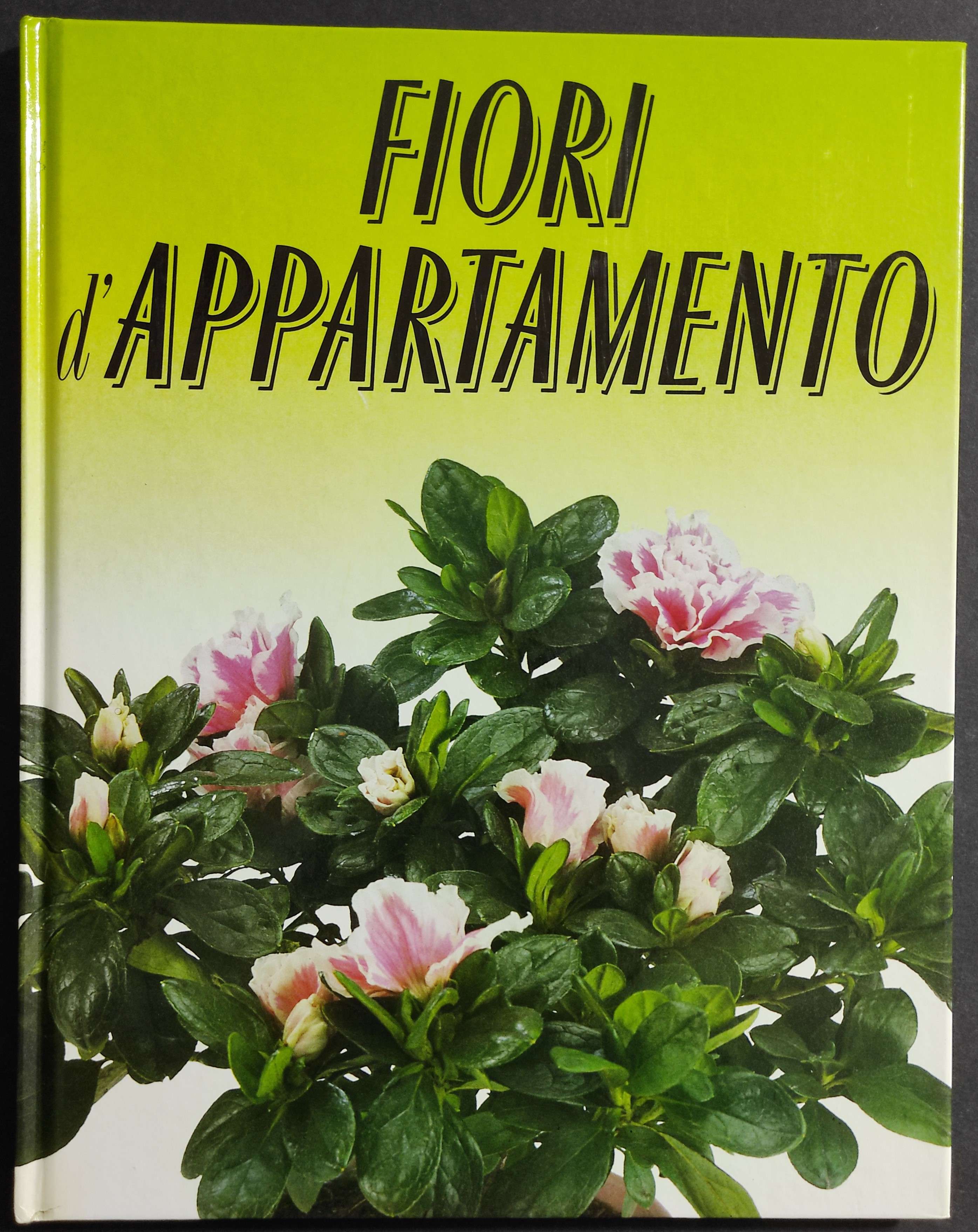 Libreria Max 88