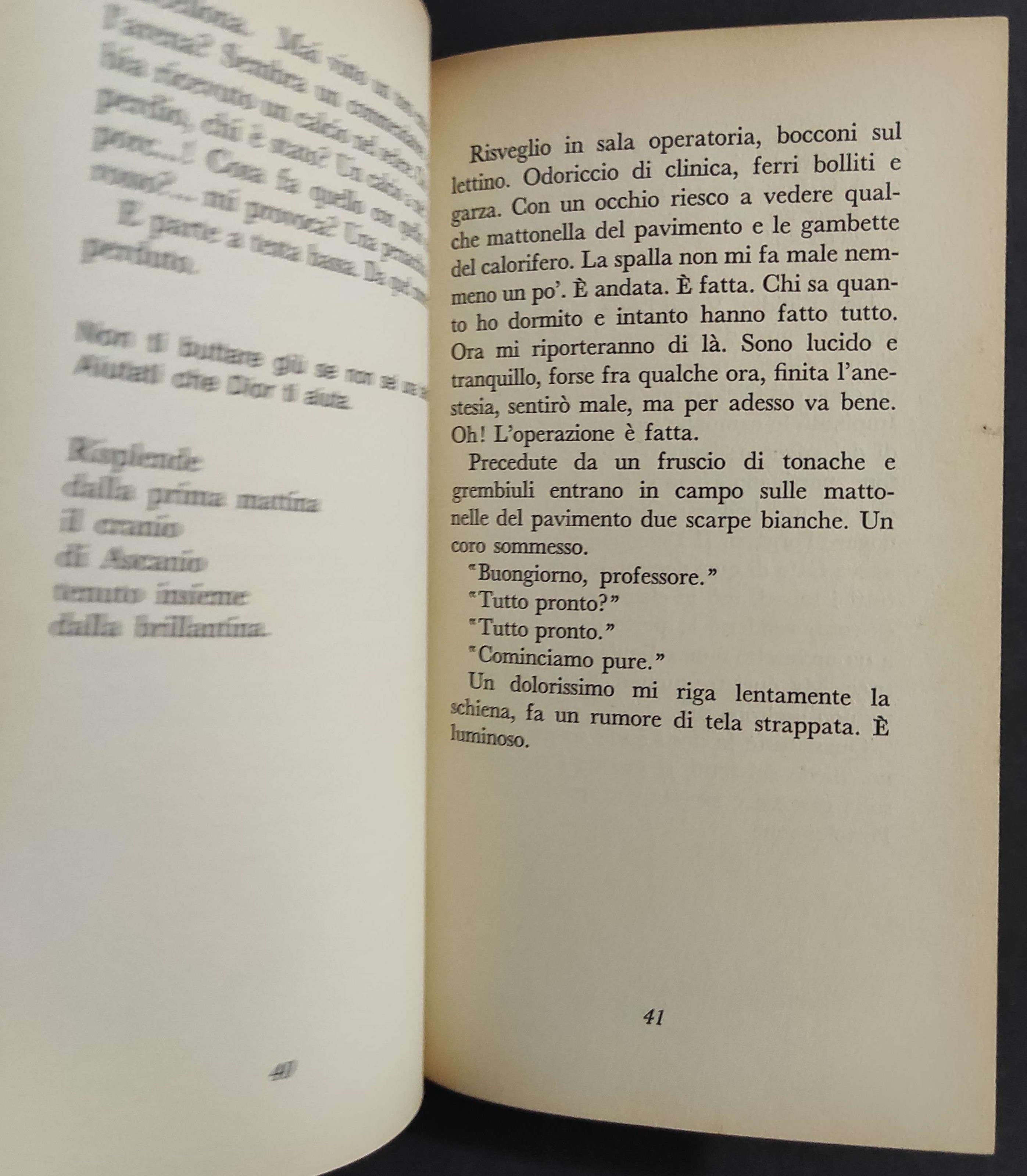 Diario Futile di un Signore di Mezza Età