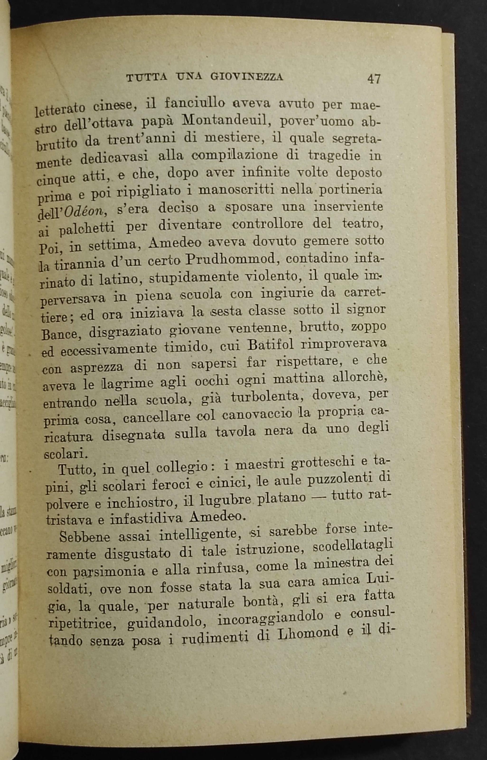 Tutta una Giovinezza