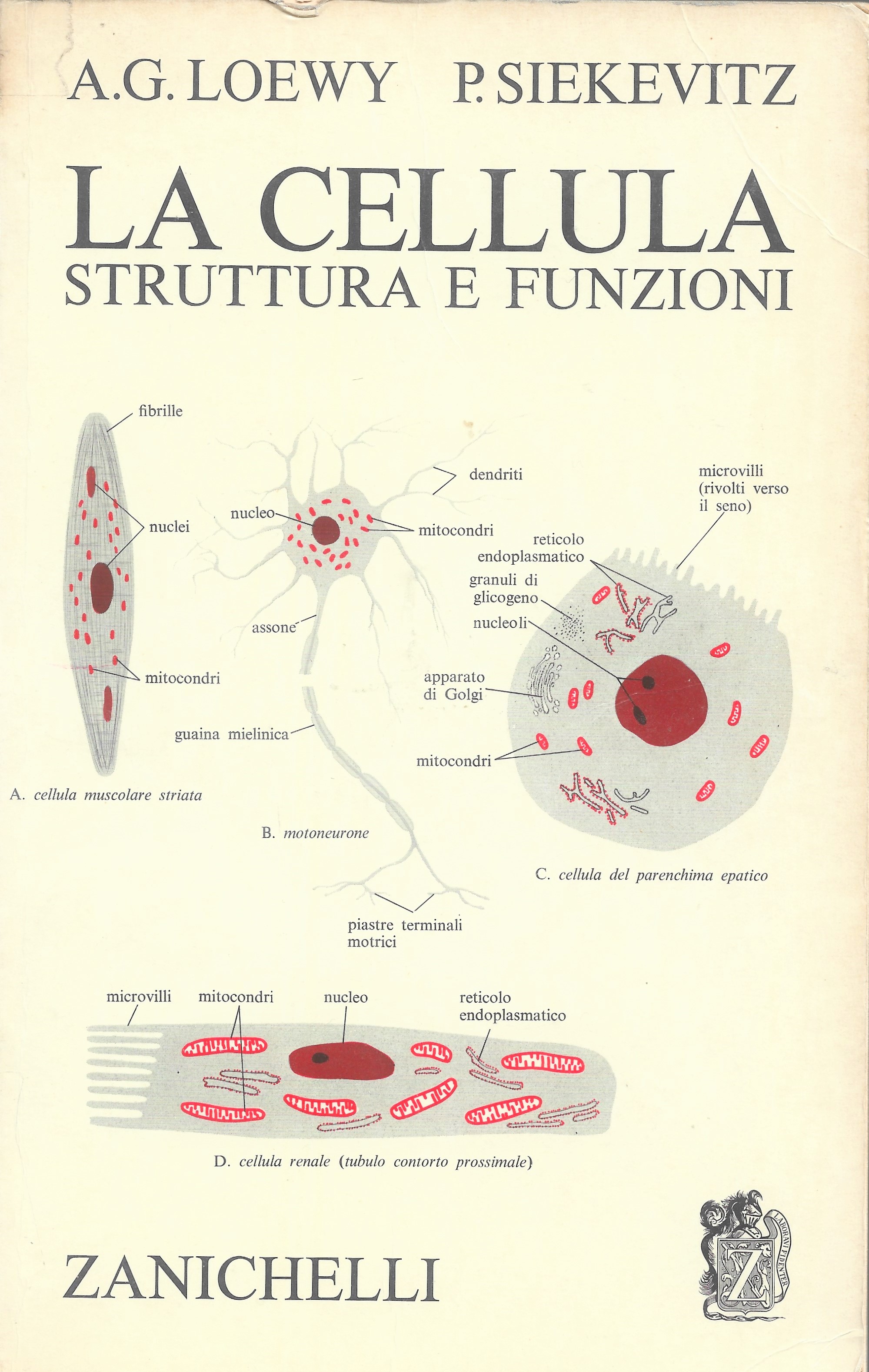 Il Muro di Tessa Studio bibliografico