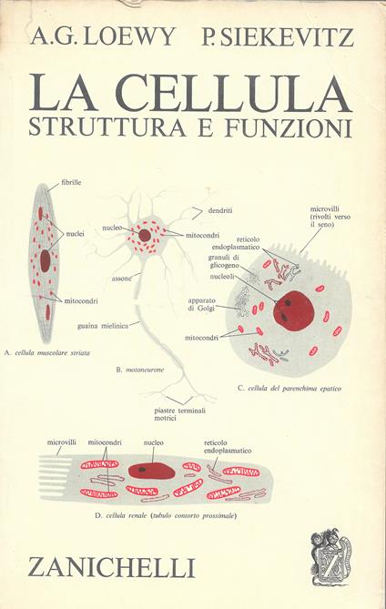 cellula struttura e funzioni - copertina