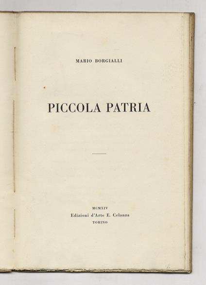 Piccola patria - Mario Borgialli - copertina
