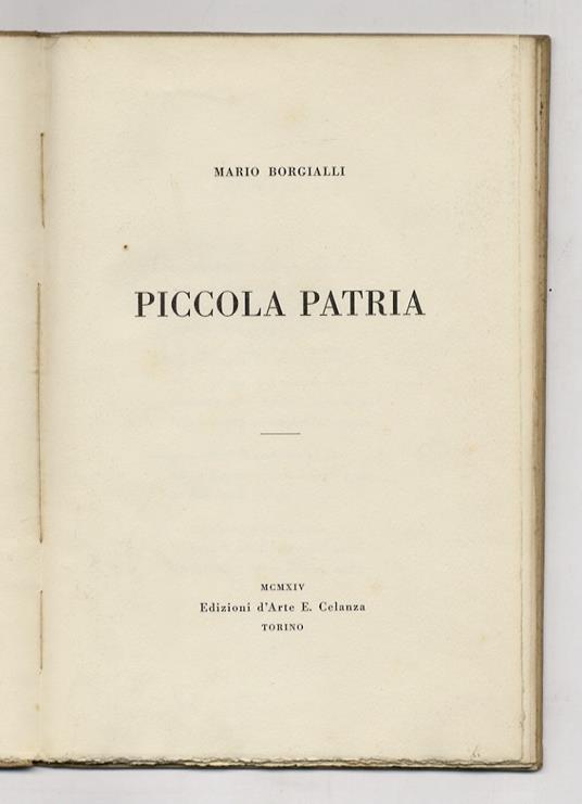 Piccola patria - Mario Borgialli - copertina