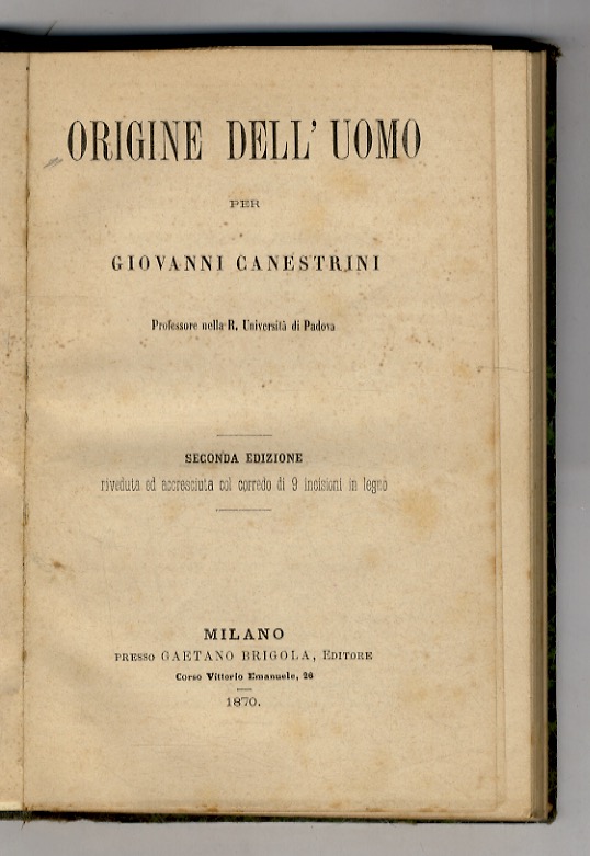 Libreria antiquaria Gozzini