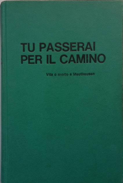 Tu passerai per il camino. Vita e morte di Mauthausen - Vincenzo Pappalettera - copertina