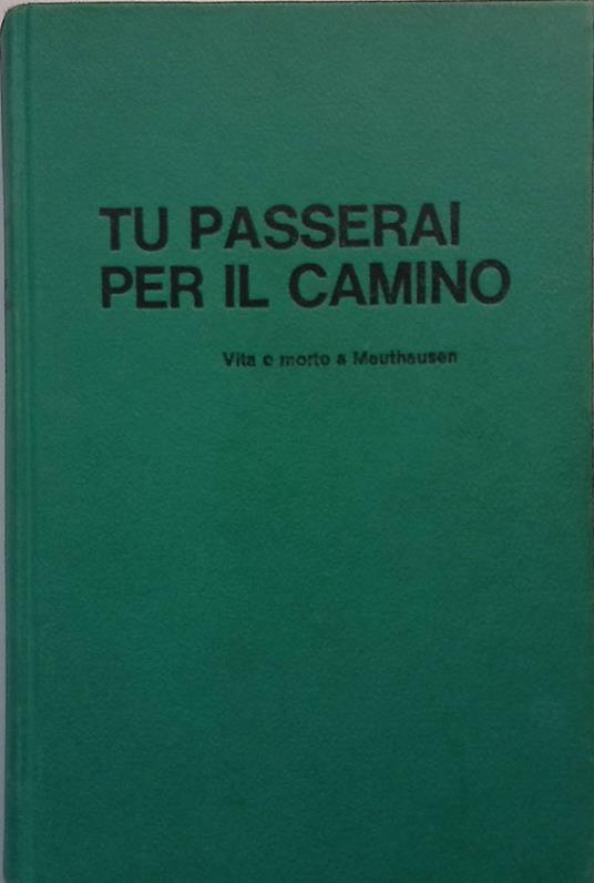 Tu passerai per il camino. Vita e morte di Mauthausen - Vincenzo Pappalettera - copertina