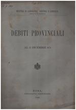 Debiti provinciali al 31 dicembre 1878