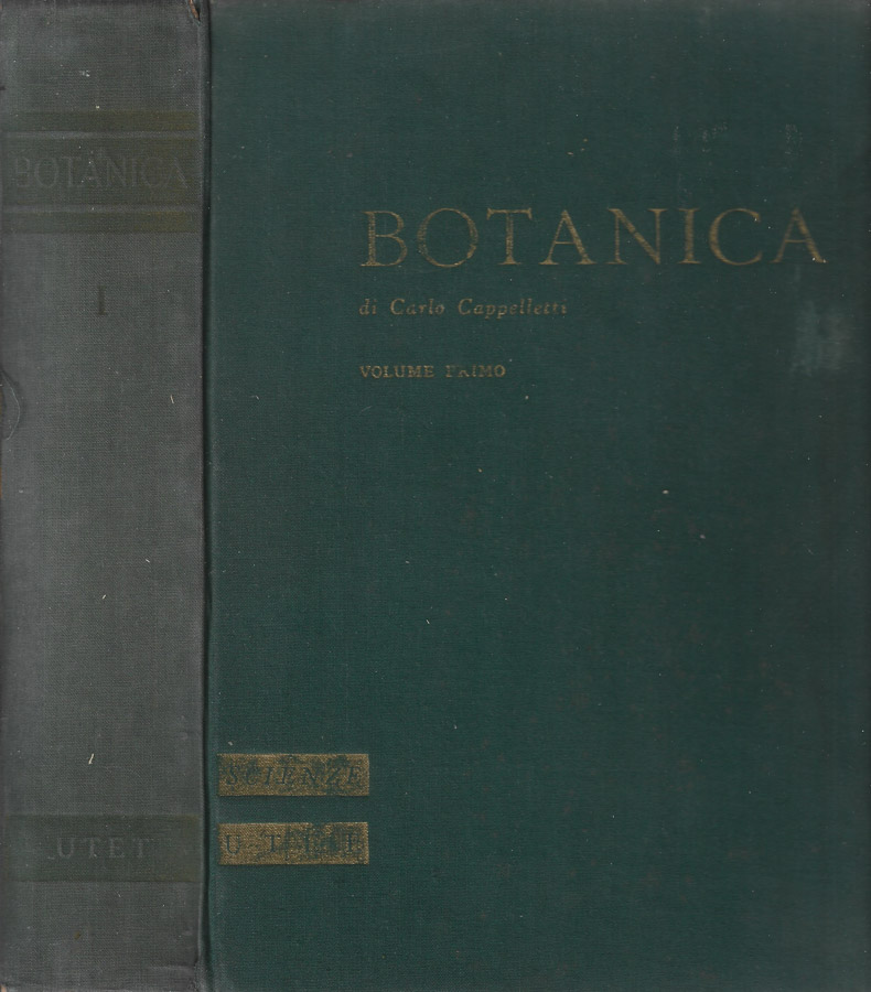 Biblioteca di Babele