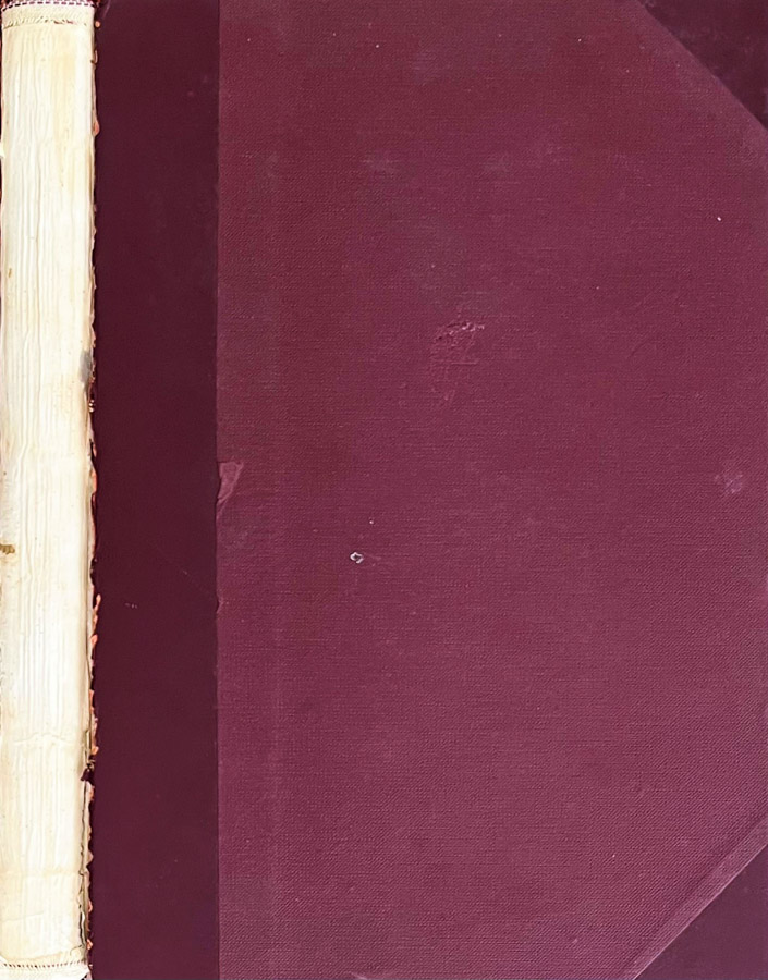 Biblioteca di Babele