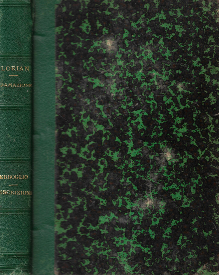 Biblioteca di Babele