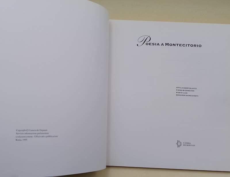 Poesia A Montecitorio