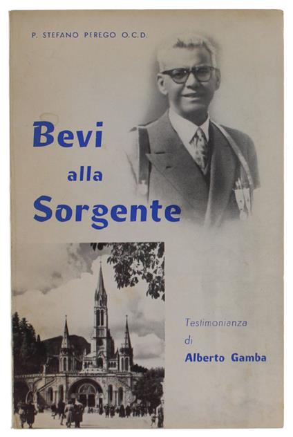BEVI ALLA SORGENTE. Testimonianza di Alberto Gamba - Stefano M. Perego - copertina