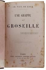 UNE GRAPPE DE GROSEILLE