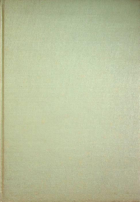 Le iscrizioni dei sec. VI - VII - VIII esistenti in Italia: Vol. I: Austria longobarda - Pietro Rugo - copertina