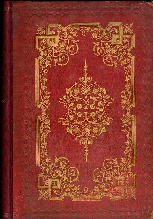 Wanderings of a Pilgrim in the Shadow of Mont Blanc and the Jungfrau Alp - copertina