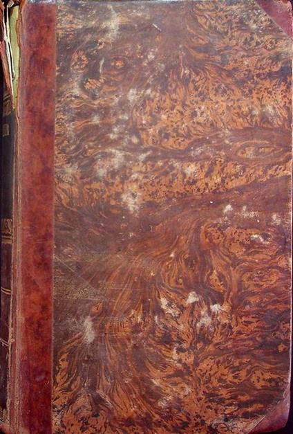 Delle disposizioni comuni ai diritti delle persone ed ai diritti sulle cose: giusta il codice civile universale austriaco - copertina