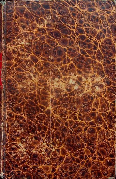 Glückseligkeitslehre für das physische Leben des Menschen, oder Die Kunst, das Leben zu benutzen - copertina