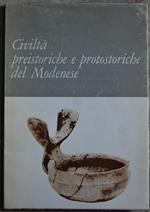 Civiltà Preistoriche E Protostoriche Del Modenese