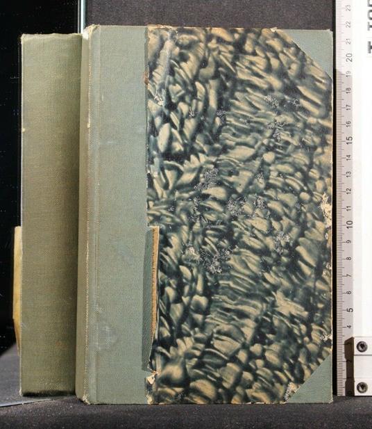 Les Fleurs Du Mal - Charles Baudelaire - copertina
